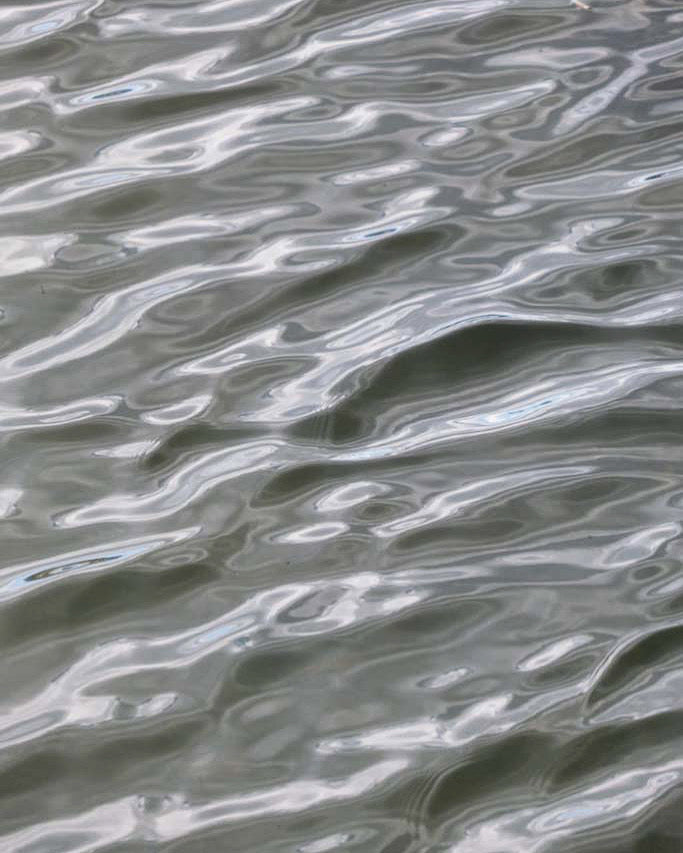 Artwork Commission (20% Deposit)