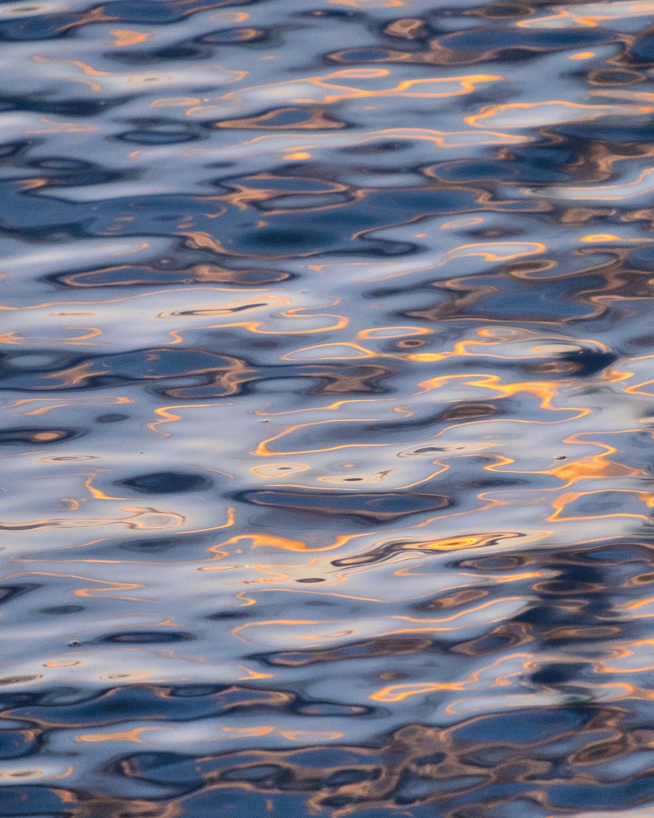 Artwork Commission (20% Deposit)