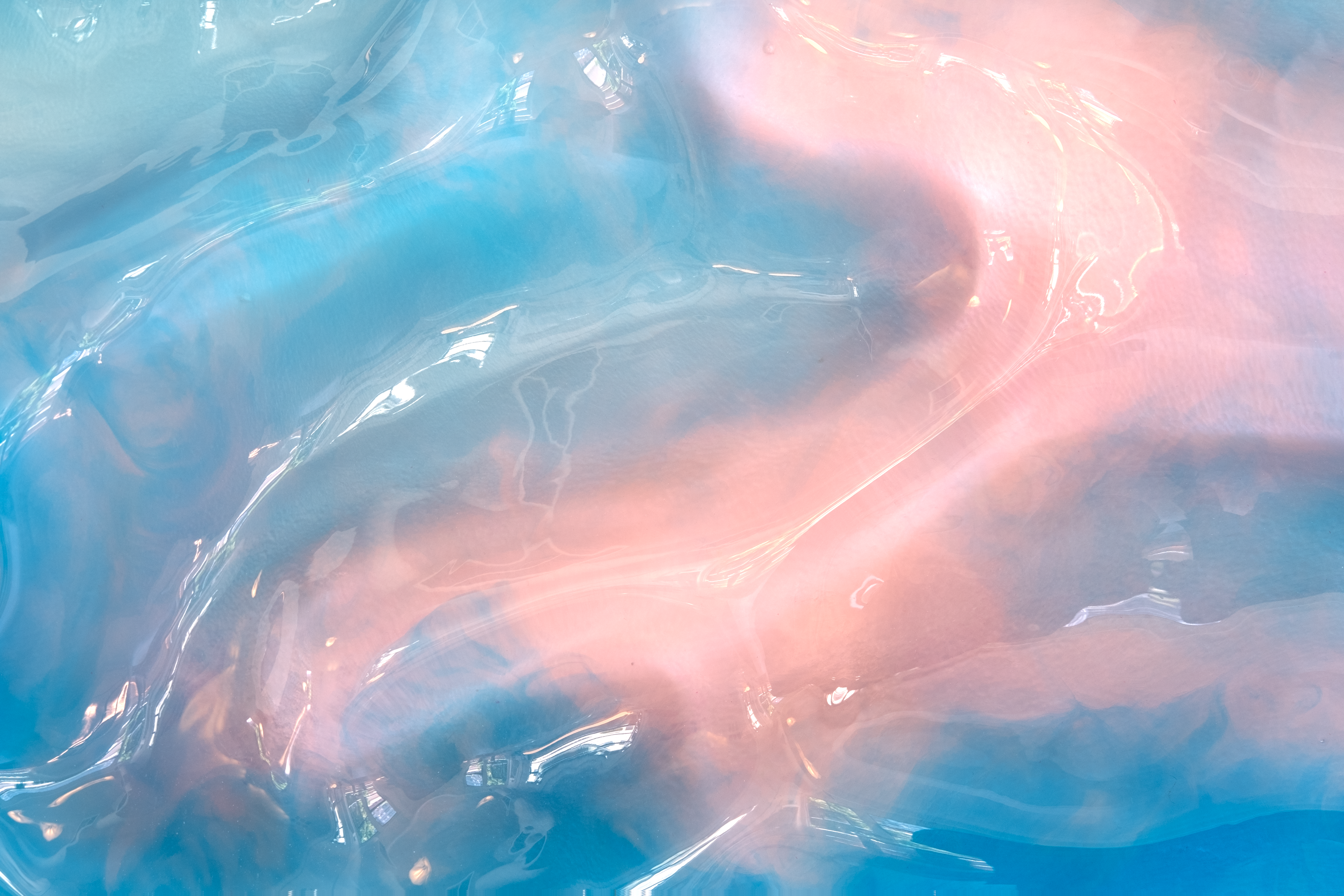 Shepherd's Delight (I Love You)