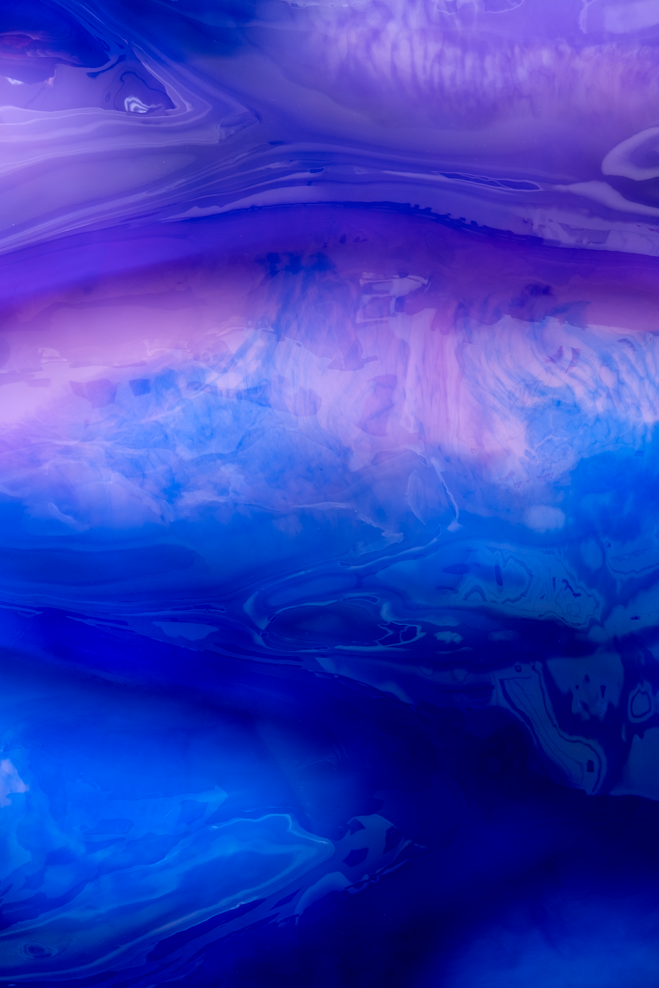 Shepherd's Warning (Winter Island Romance)